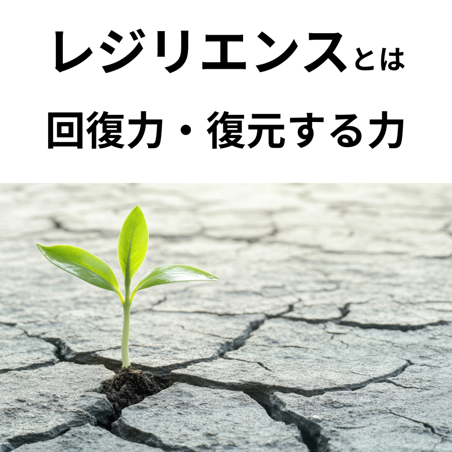 レジリエンス、防災、災害、久留米市