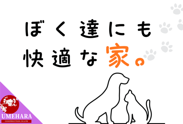 久留米で“ペットも人も同じ温度”で暮らす家へ。猫の譲渡会×ペット住宅相談【10/25-26｜あまやどりの家】